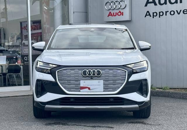 AUDI E-TRON – 2025 – FZEDF