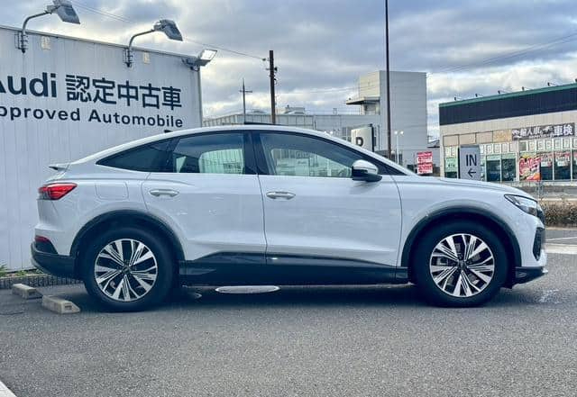 AUDI E-TRON – 2025 – FZEDF