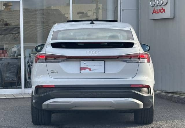 AUDI E-TRON – 2025 – FZEDF