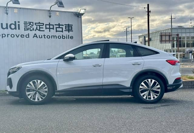 AUDI E-TRON – 2025 – FZEDF